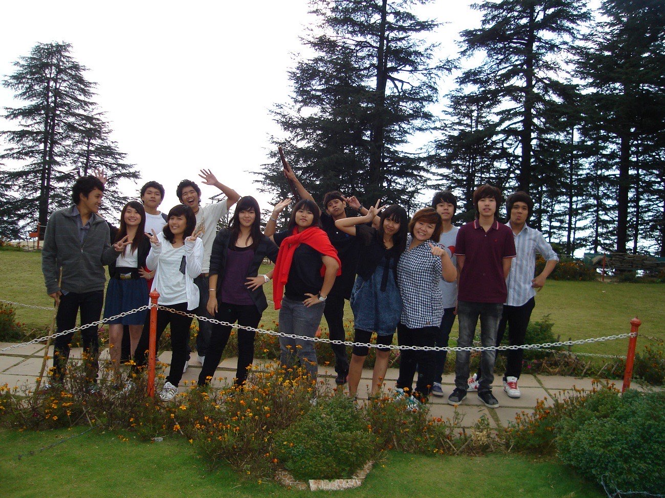 Students on an outdoor excursion among tall pine trees in the hills